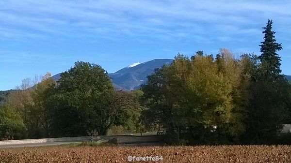 Mont-Ventoux