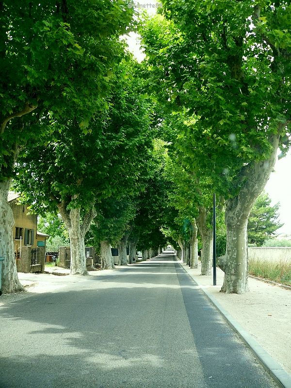 Route de Malemort Du Comtat