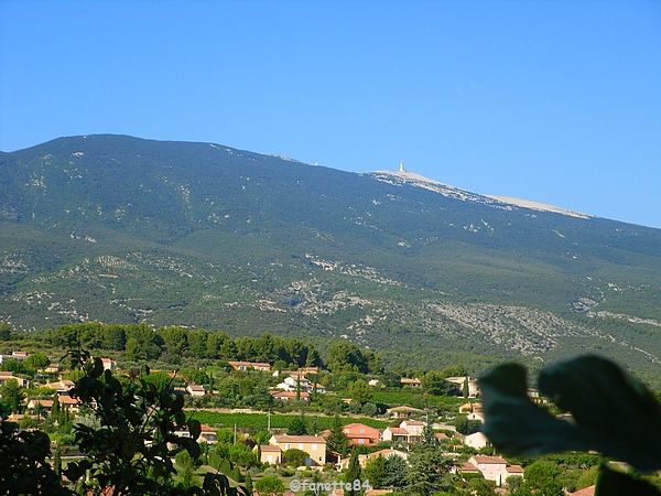 Mont-Ventoux vue de Bédoin