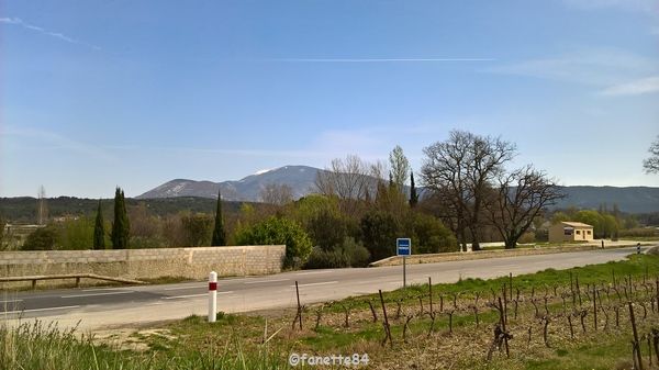 Le Ventoux vue de Crestet