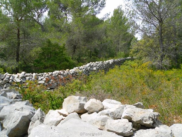 Mur de la peste à Cabrières d'Avignon