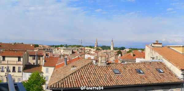 Avignon vu des Halles