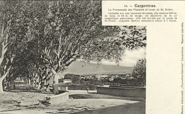Carpentras, place des Platanes