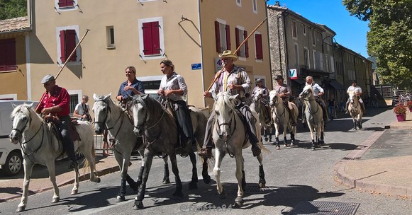 L'Abrivado à Entrechaux (août 2017)