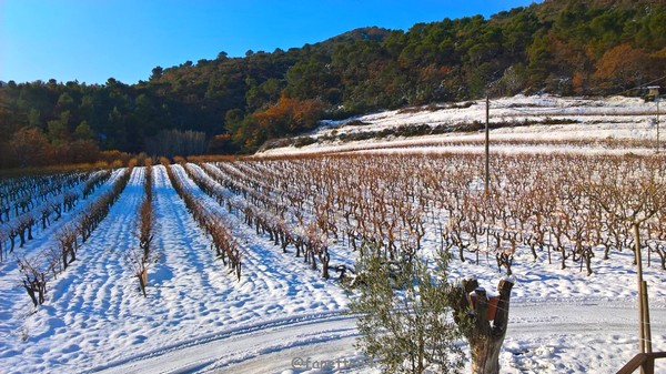 Neige au Crestet