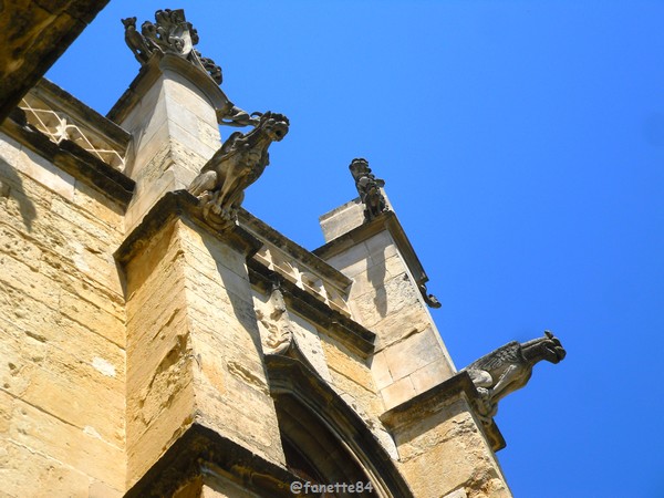 Gargouille de l'église St Michel à Caderousse