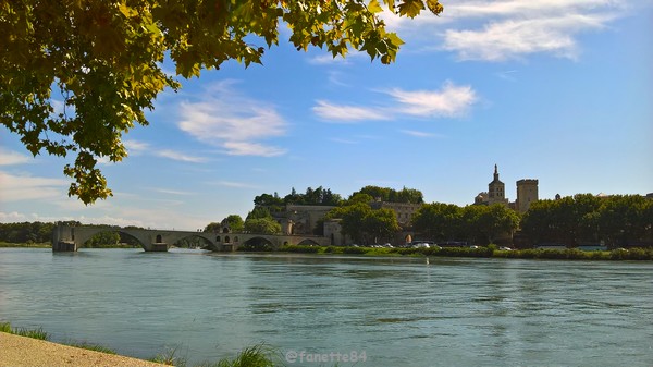 Pont Saint Bénézet à Avignon