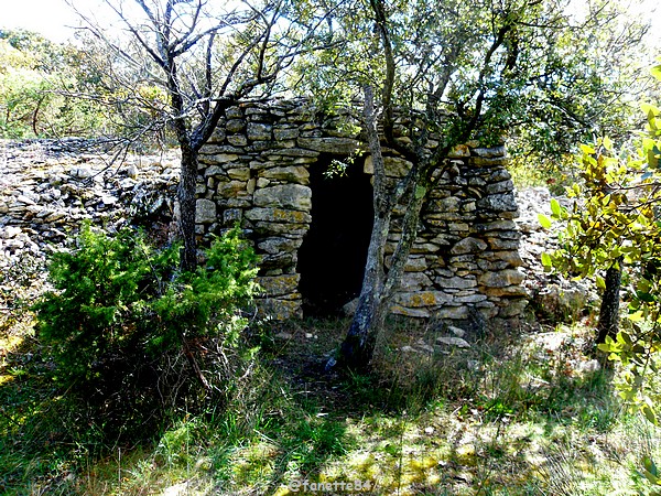 Hameau de Barbarenque