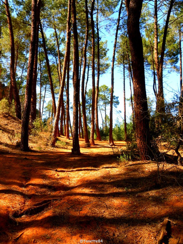 Le sentier des ocres de Roussillon