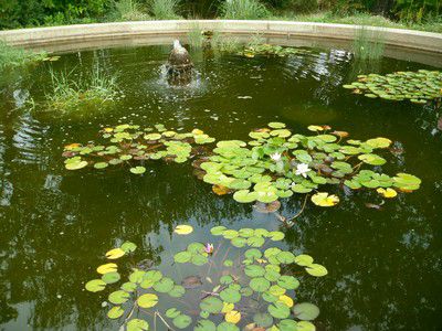 Grand bassin circulaire agrémenté d'une fontaine