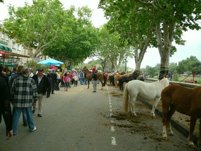 Grande foire de Bédarrides