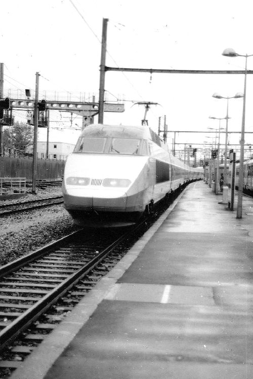 T.G.V. en gare d'Avignon centre.