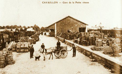 gare pv cavaillon