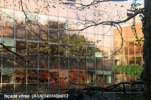 Reflets d'automne (AXA)