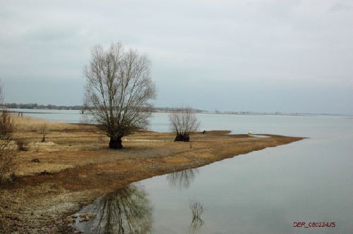 lac du Der   ambiance