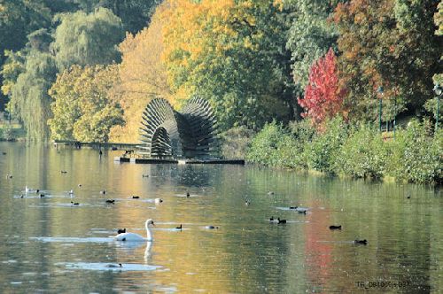 Etang de Ten Reuken à Boisfort 1170