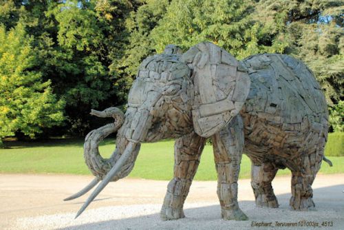Eléphants de garde au Musée de Tervueren