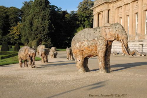 Eléphants de garde au Musée de Tervueren