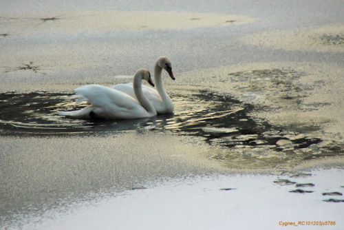 seul à deux dans un trou de la glace !!!