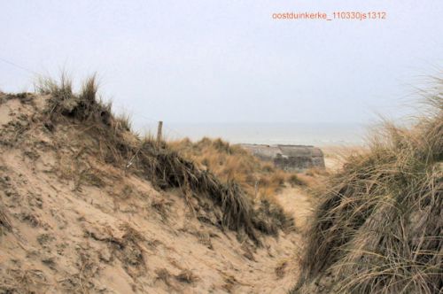 Paysage de dunes (Oostduinkerke)