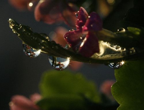 Trois bulles de Crystal...