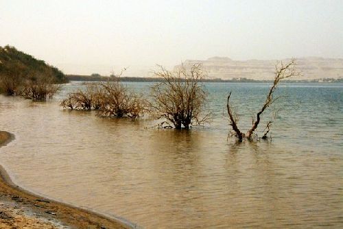 L'oasis de Shiata en plein désert