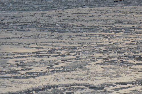 La Meuse charriait encore de la glace.