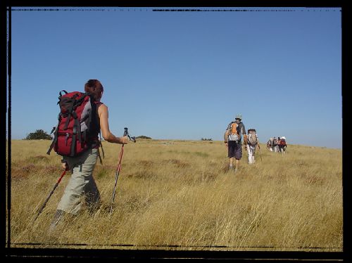 Plein sud, sur la lande...