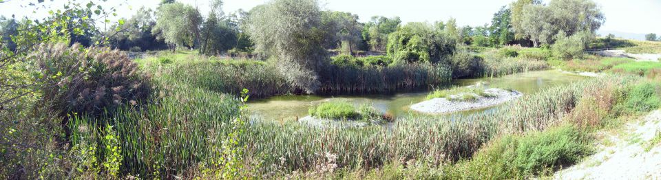 APILL - Association de Protection des Berges de l'