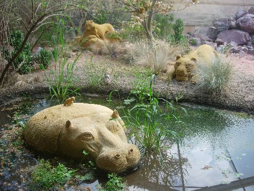 AFRICAN SAFARI au Touquet-Paris-Plage (62)