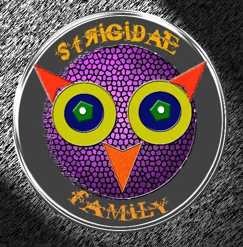 Logo Strigidae 2