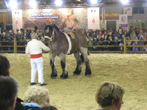 Salon de l'agriculture à Paris en 2007