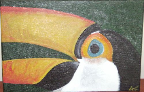 Le toucan d\'Iguacu
