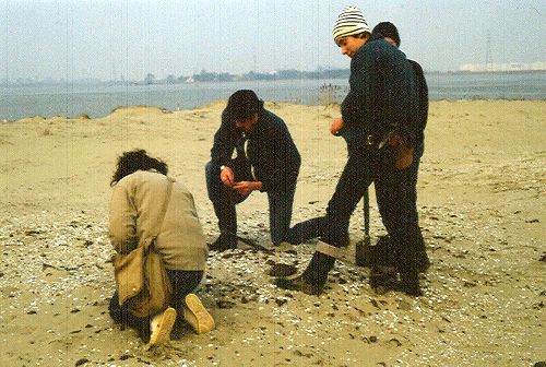 18-03-1984 - Doel ; recherche de fossiles