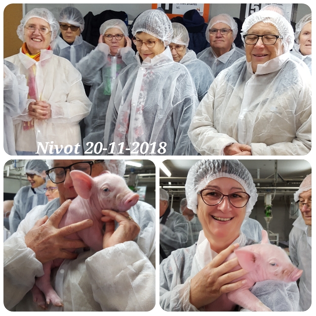 UTL - Atelier nature : Visite de la nurserie porcine du Nivot à Lopérec - le 20 novembre 2018