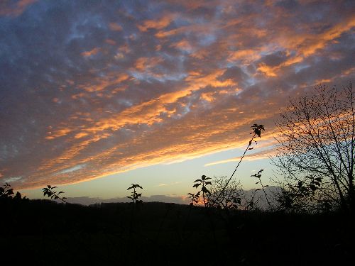 SOIREE D'AUTOMNE