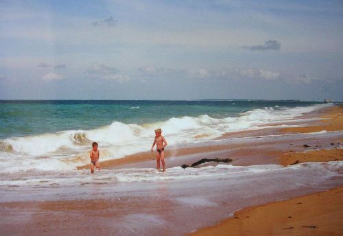 ILE D'OLERON  (au fond en haut à droite: Fort Boyard)