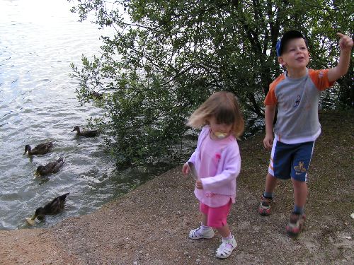 03-07-08 : on donne du pain aux canards...