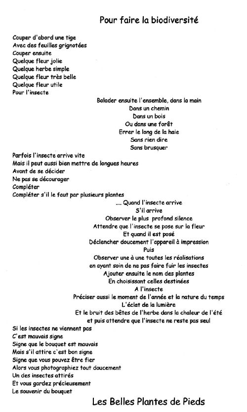 poèmes de bpdp, inspiré par Jacques Prévert