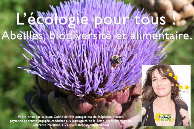 Abeilles, biodiversité et alimentaire