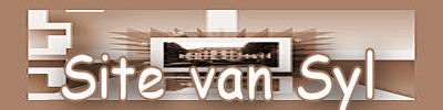 Banner-site-van-Syl.jpg