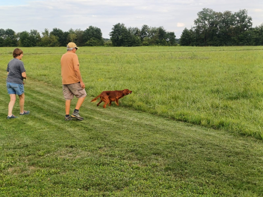 Angus Alsace 31 07 2025 2.jpg