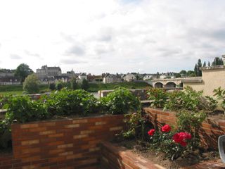 le jardin fleuri de la résidence