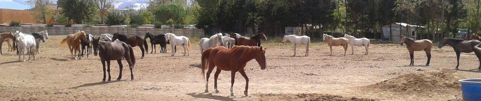 Ranch Fumat Vias - plage