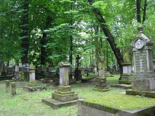 Old Cimentary w Lublin / Vieux cimetière à Lublin 