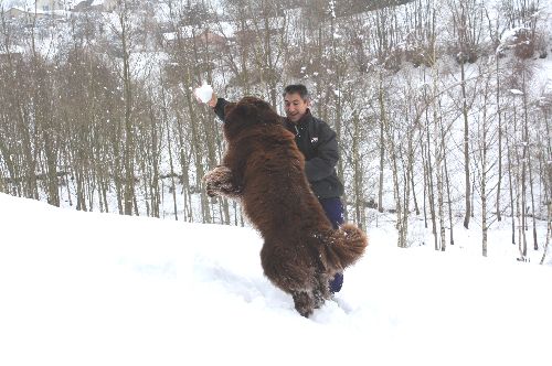 Beau saut de Brasko !