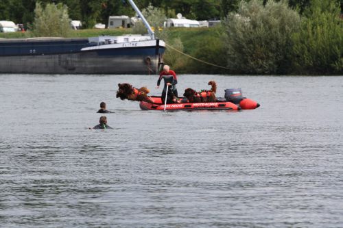 Saut du bateau pour Brasko