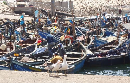 Le port d\'AGADIR