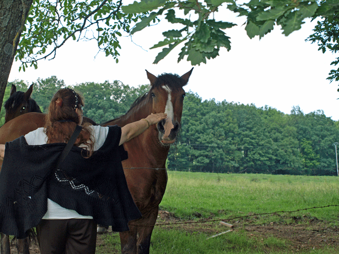 une nouvelle amitie ce cree