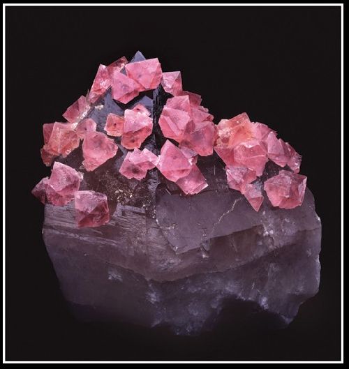 Fluorite rose sur Fumé - 1989 - JF Charlet et P Ghilini - Les Droites 3600